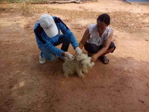 โครงการฉีดวัคซีนป้องกันโรคพิษสุนัขบ้าในสุนัขและแมว ประจำปีงบประม