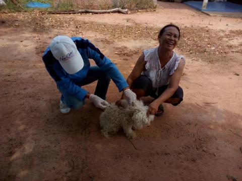 โครงการฉีดวัคซีนป้องกันโรคพิษสุนัขบ้าในสุนัขและแมว ประจำปีงบประม