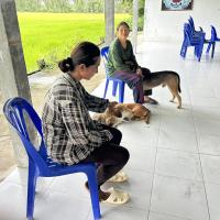 โครงการพระราชดำริสัตว์ปลอดโรคคนปลอดภัย (ทำหมันสุนัขและแมว) ประจำปีงบประมาณ 2569