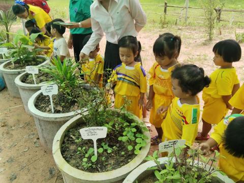 การให้ความรู้เกี่ยวกับสมุนไพรกับเด็กในศูนย์พัฒนาเด็กเล็กวัดจินดามณี