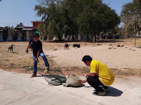 โครงการฉีดวัคซีนป้องกันโรคพิษสุนัขบ้าในสุนัขและแมว และสัตว์เลี้ยง ประจำปี 2568