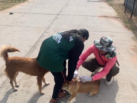 โครงการฉีดวัคซีนป้องกันโรคพิษสุนัขบ้าในสุนัขและแมว และสัตว์เลี้ยง ประจำปี 2568