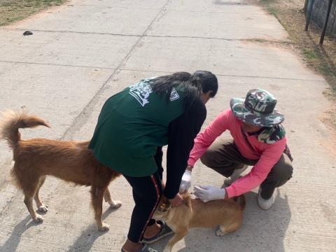 โครงการฉีดวัคซีนป้องกันโรคพิษสุนัขบ้าในสุนัขและแมว และสัตว์เลี้ยง ประจำปี 2568