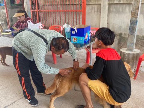 โครงการฉีดวัคซีนป้องกันโรคพิษสุนัขบ้าในสุนัขและแมว และสัตว์เลี้ยง ประจำปี 2568