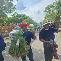 ประเพณีบุญบั้งไฟ