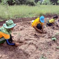 โครงการรักษ์น้ำ รักษ์ป่า รักษาแผ่นดิน ประจำปีงบประมาณ 2568