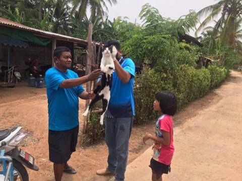 โครงการฉีดวัคซีนป้องกันโรคพิษสุนัขบ้าในสุนัขและแมวและสัตว์เลี้ยง