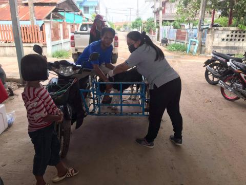 โครงการฉีดวัคซีนป้องกันโรคพิษสุนัขบ้าในสุนัขและแมวและสัตว์เลี้ยง