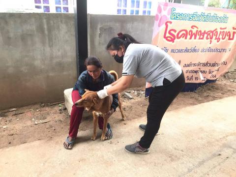โครงการฉีดวัคซีนป้องกันโรคพิษสุนัขบ้าในสุนัขและแมวและสัตว์เลี้ยง