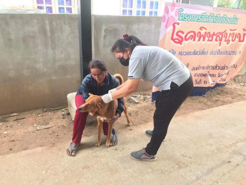 โครงการฉีดวัคซีนป้องกันโรคพิษสุนัขบ้าในสุนัขและแมวและสัตว์เลี้ยง