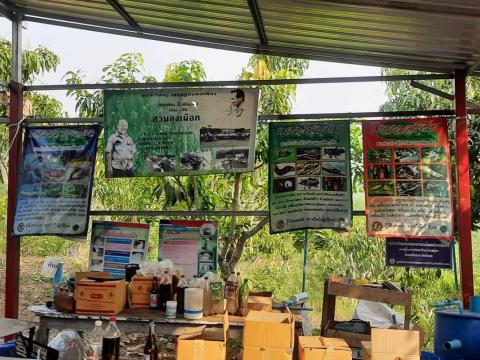 โครงการพัฒนาศักยภาพบุคลากรสำหรับผู้บริหาร สมาชิกสภา อบต. พนักงาน