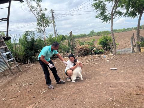 โครงการฉีดวัคซีนป้องกันโรคพิษสุนัขบ้านในสุนัขและแมว และสัตว์เลี้ยง