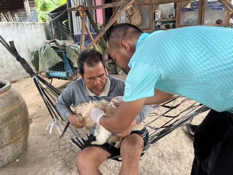 โครงการฉีดวัคซีนป้องกันโรคพิษสุนัขบ้านในสุนัขและแมว และสัตว์เลี้ยง