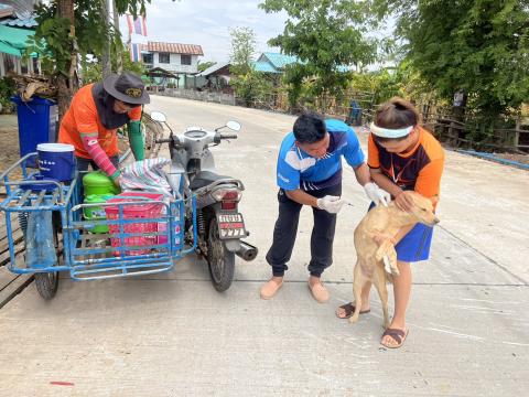 โครงการฉีดวัคซีนป้องกันโรคพิษสุนัขบ้านในสุนัขและแมว และสัตว์เลี้ยง