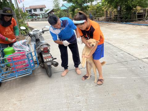 โครงการฉีดวัคซีนป้องกันโรคพิษสุนัขบ้านในสุนัขและแมว และสัตว์เลี้ยง