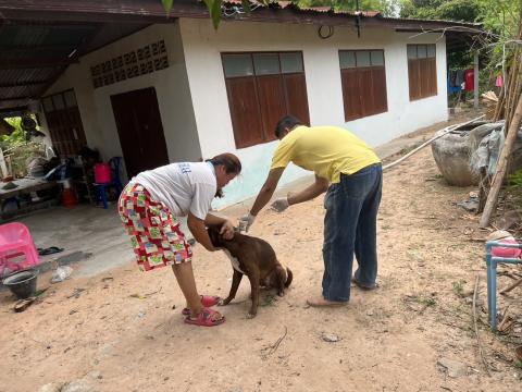 โครงการฉีดวัคซีนป้องกันโรคพิษสุนัขบ้านในสุนัขและแมว และสัตว์เลี้ยง
