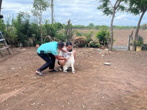 โครงการฉีดวัคซีนป้องกันโรคพิษสุนัขบ้านในสุนัขและแมว และสัตว์เลี้ยง