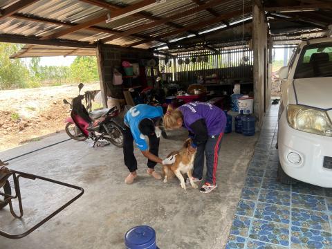 โครงการฉีดวัคซีนป้องกันโรคพิษสุนัขบ้านในสุนัขและแมว และสัตว์เลี้ยง